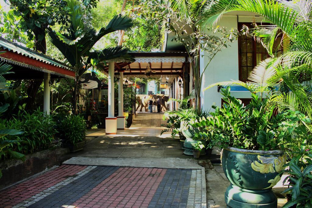 Green Land Guest House พินนาวาลา ภายนอก รูปภาพ