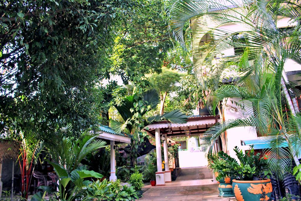 Green Land Guest House พินนาวาลา ภายนอก รูปภาพ