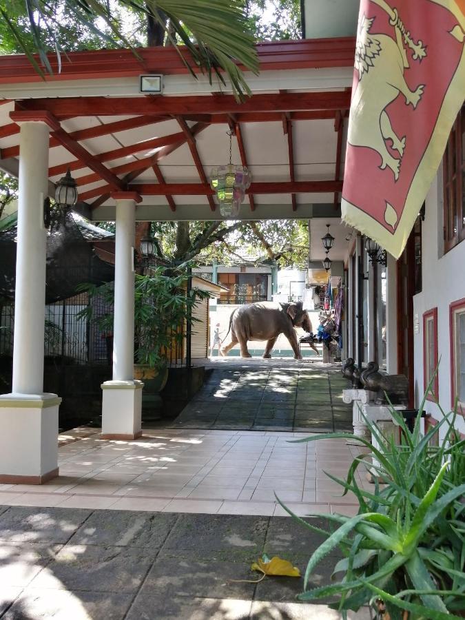 Green Land Guest House พินนาวาลา ภายนอก รูปภาพ
